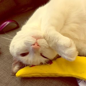 Meet your Posher, Jaime